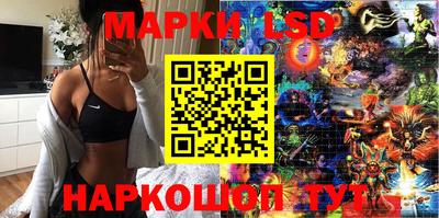 гидра Брянск