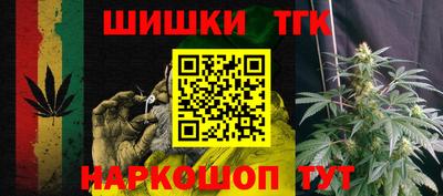гидра Брянск