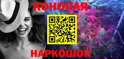 гидра Брянск