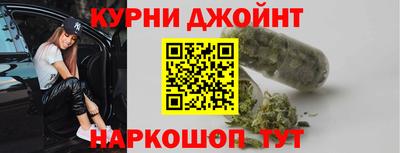 гидра Брянск