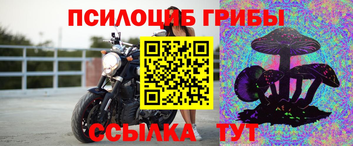 магазин продажи наркотиков  Вход с VPN  Красногорск  Галлюциногенные грибы прущие грибы 